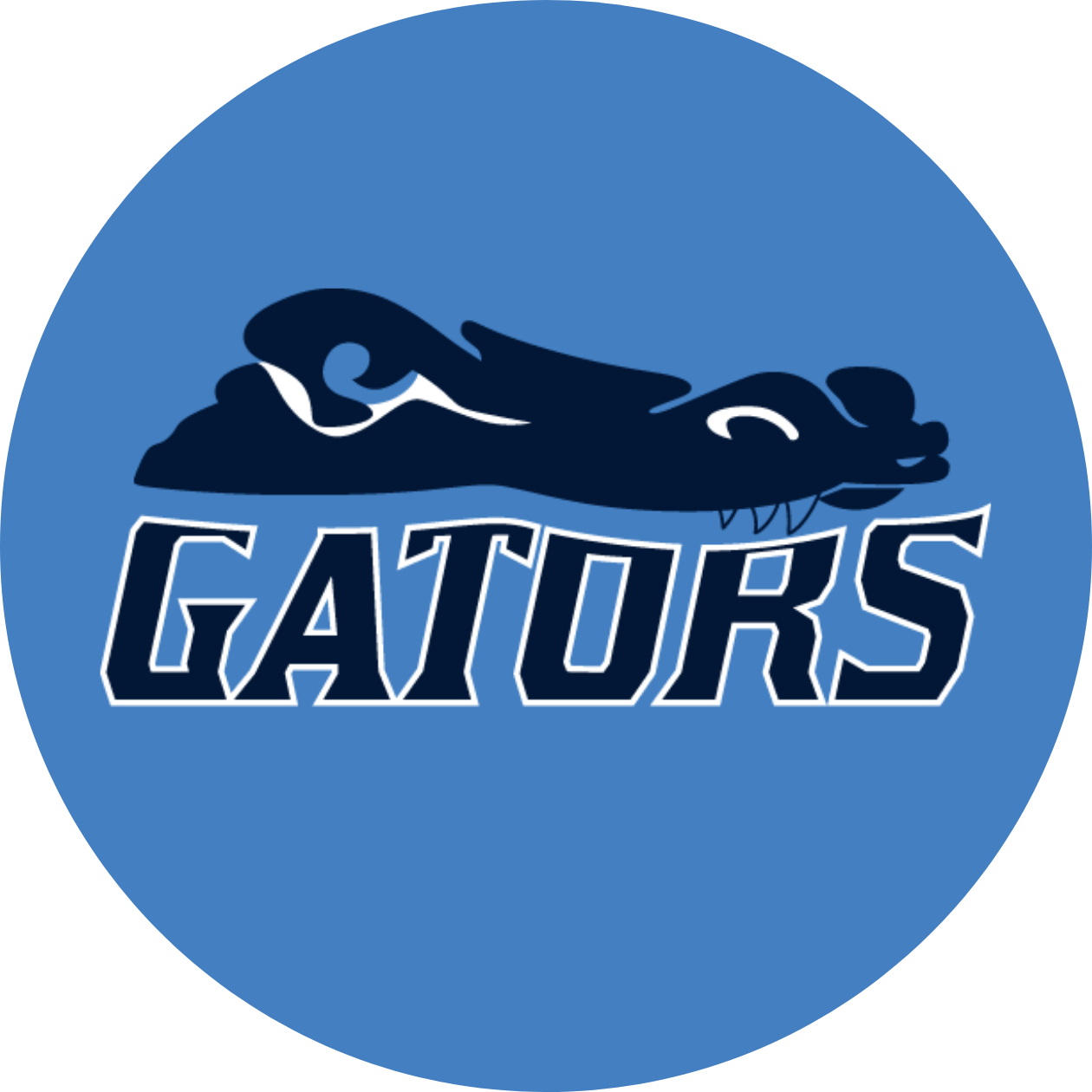 Gators Baseball Ultimate Drink Coaster 4-Pack